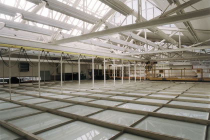 Roof structure above Main Exhibition Hall, Photo: Margherita Spiluttini