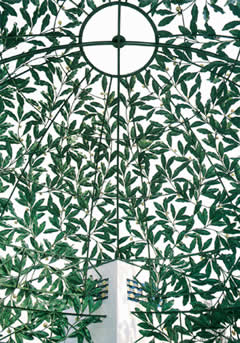 Laurel leaves, dome of the Secession, Photo: Margherita Spiluttini