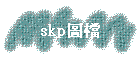 skp����